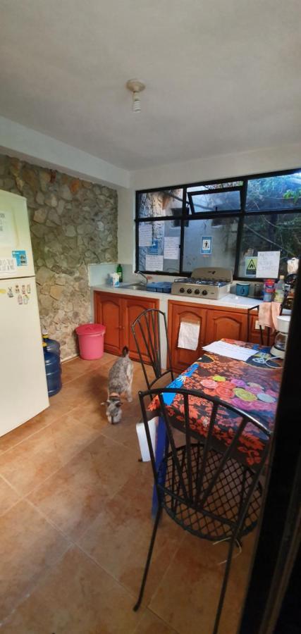 Hotel Posada Casa Juana ซานกริสโตบัล เด ลาสกาซาส ภายนอก รูปภาพ